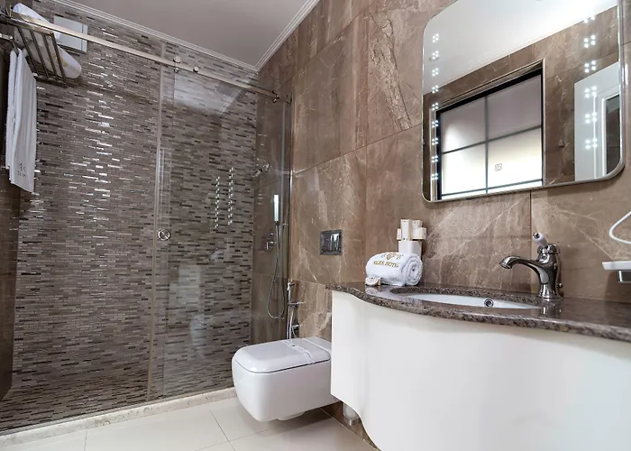 酒店 埃勒酒店 地拉那